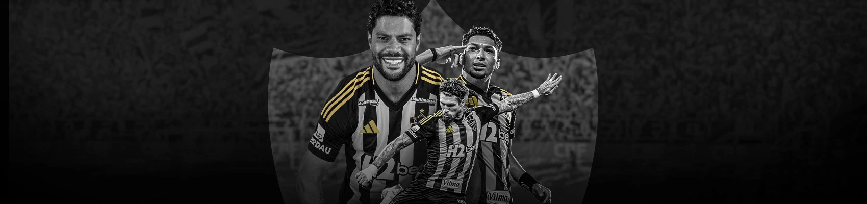 5222-topolpgalo02f-17404158844895.jpg