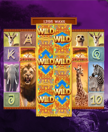 Símbolos do jogo Safari Wilds.